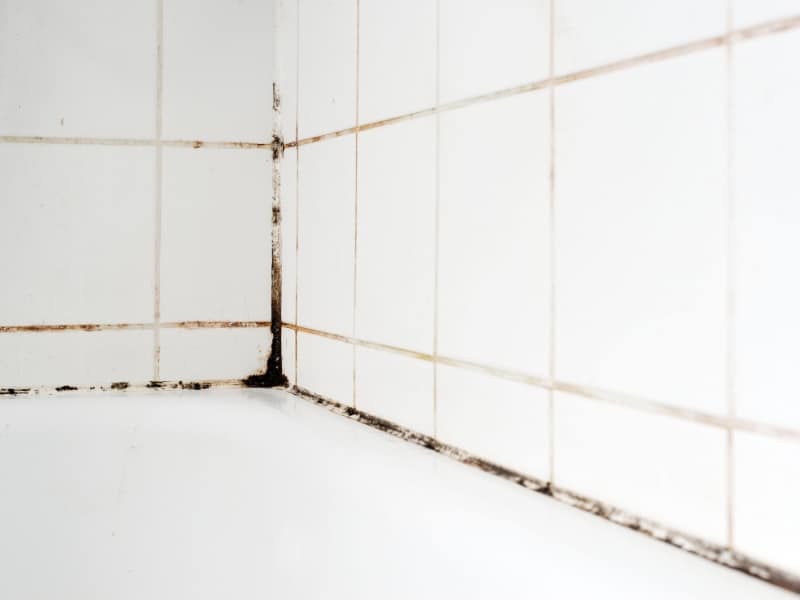 mould damage from failed waterproofing shower floor in tiled shower corner