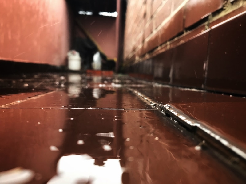 Waterproofing balcony floor issue shown through water pooling and cracked red floor tiles in corridor